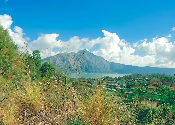 Bunbulan Penggit Bali Kubupenlokan