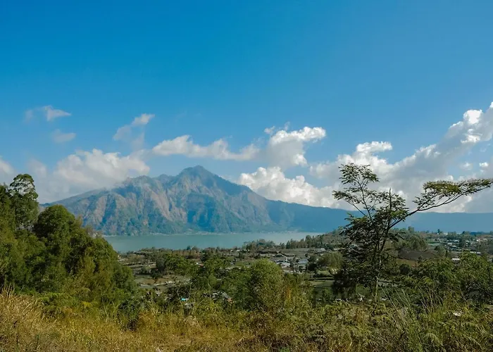 Bunbulan Penggit Bali Bed & Breakfast Kubupenlokan