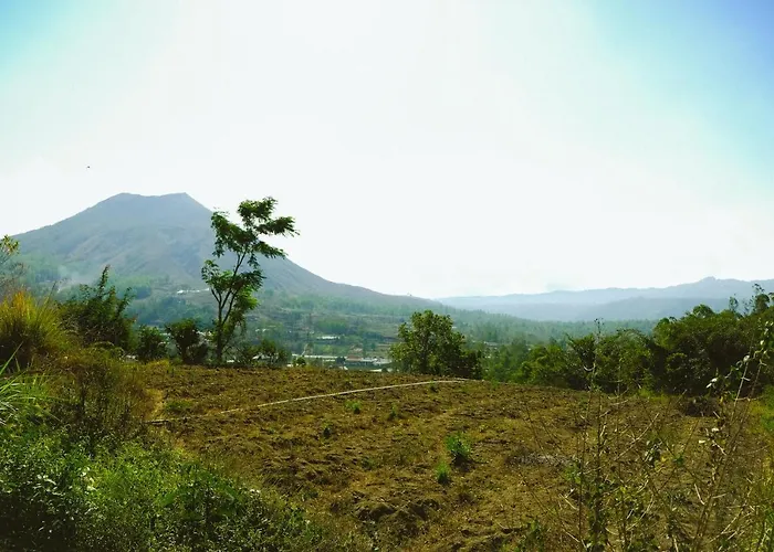Bunbulan Penggit Bali Bed & Breakfast Kubupenlokan